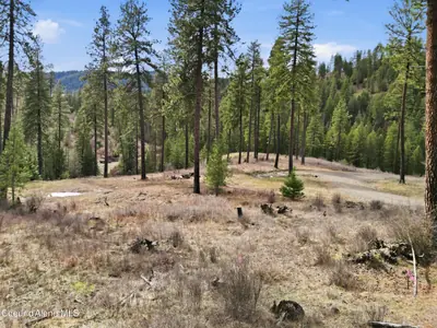 2304 Blue Creek Rd (Lot 2 & Lot 3)