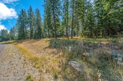 L4B1 Walden