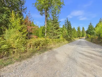 3099 Bear Creek