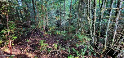 Property 26-1636 - Photo 4