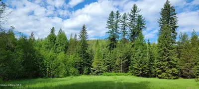 Property 26-10604 - Photo 5