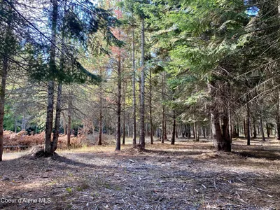 Property 26-2687 - Photo 23