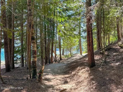 Property 25-11292 - Photo 13