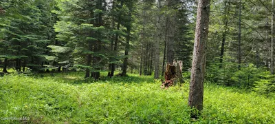 Property 26-9415 - Photo 5