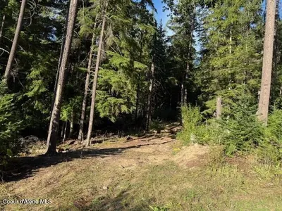 Property 25-8898 - Photo 9