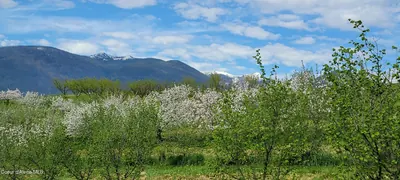 Property 26-6185 - Photo 9