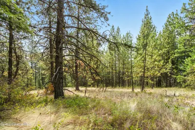 Property 26-7725 - Photo 5