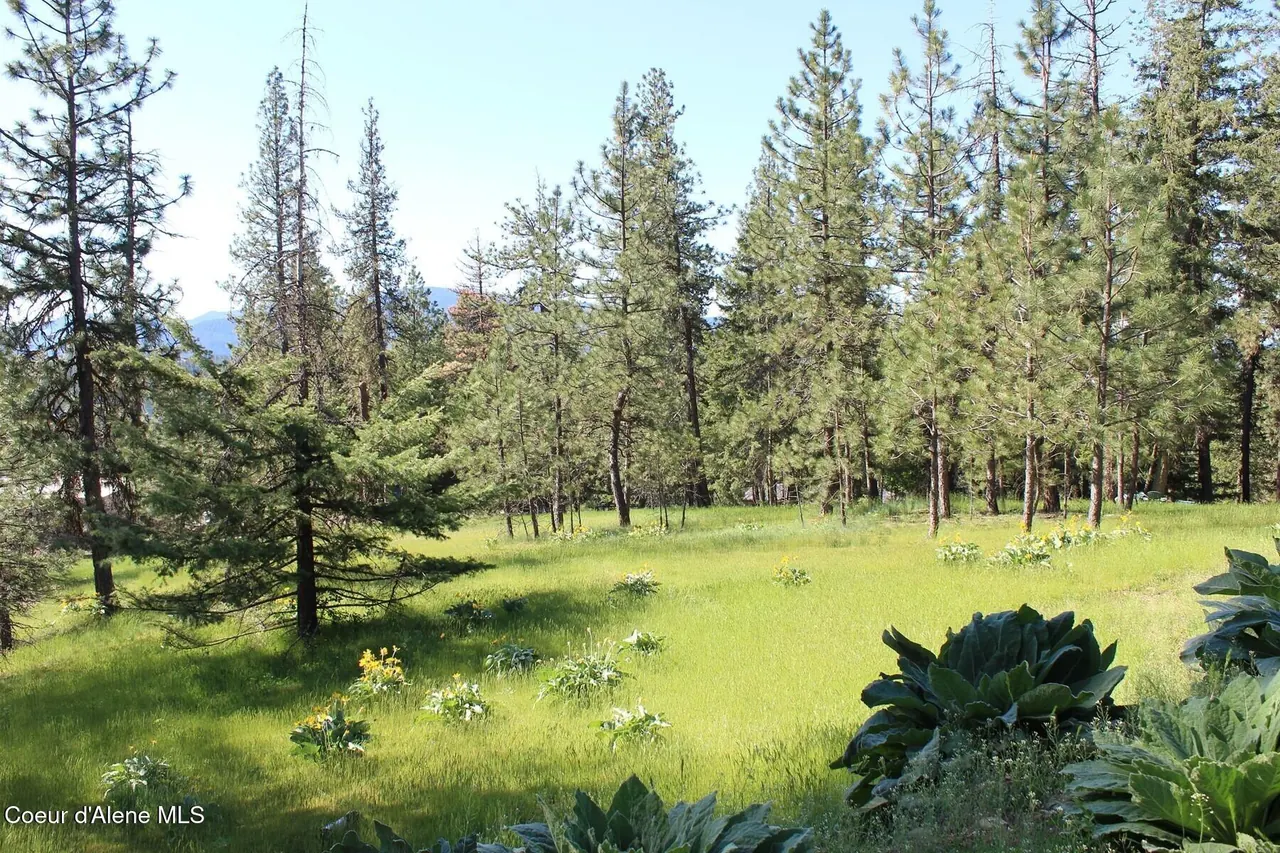Property 26-9115 - Photo 1