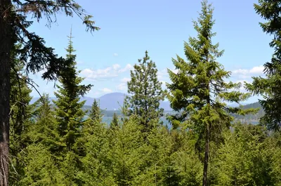 Property 26-7205 - Photo 2
