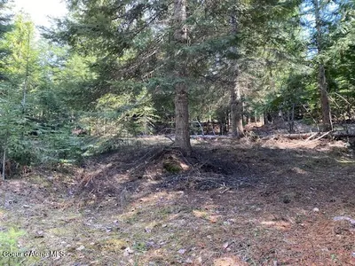Property 25-4559 - Photo 2
