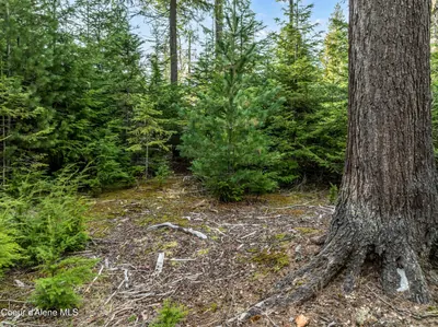 Property 26-6888 - Photo 11