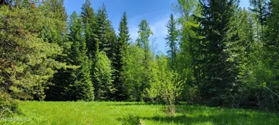 Property 25-5982 - Photo 16
