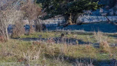 Property 26-1845 - Photo 22
