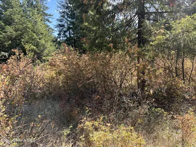 Property 26-9378 - Photo 9