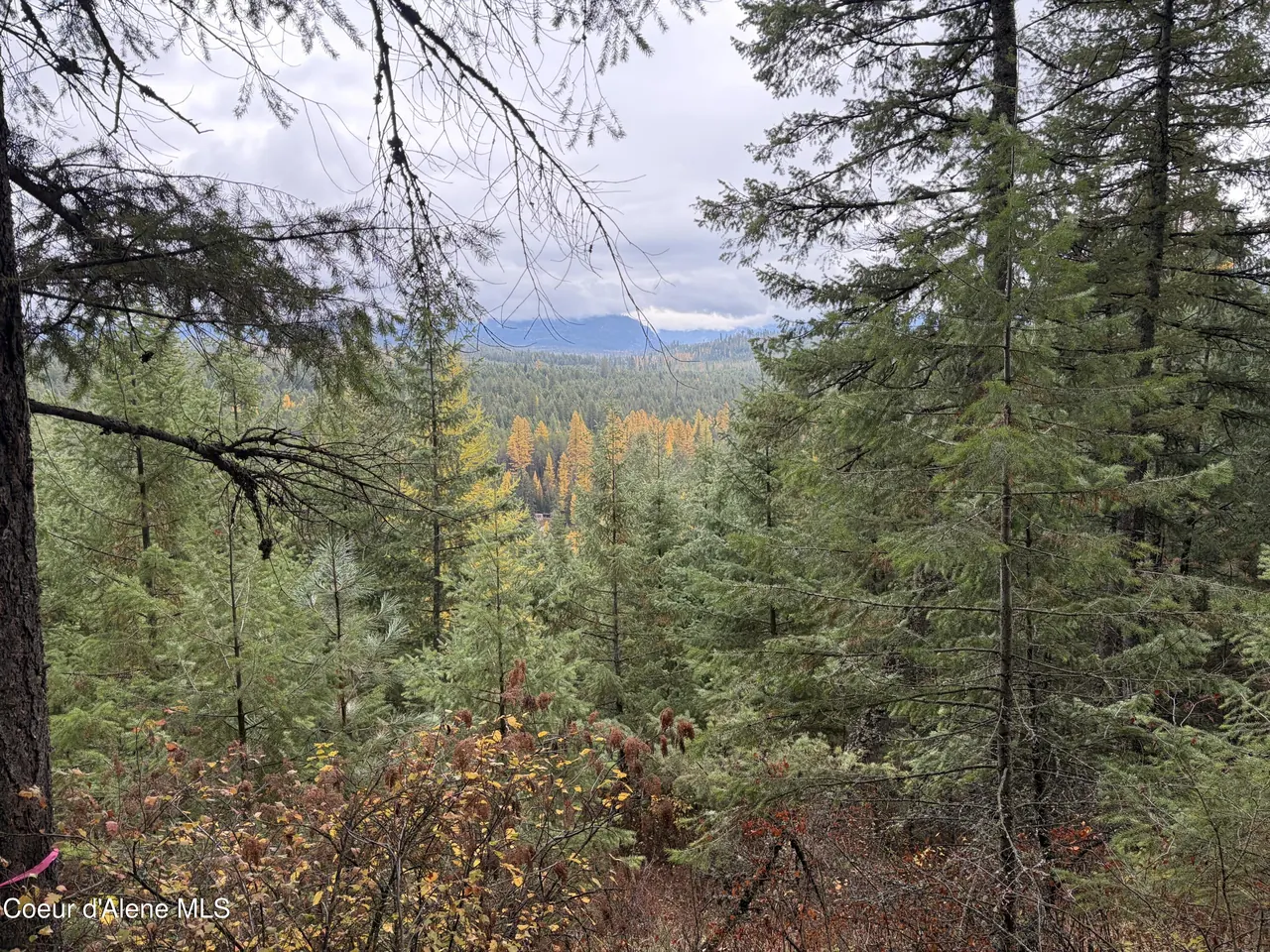 Property 26-7434 - Photo 1