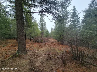Property 26-2474 - Photo 4