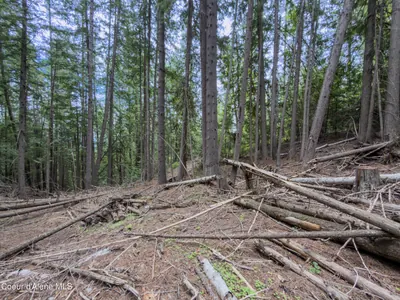 Property 26-7358 - Photo 29