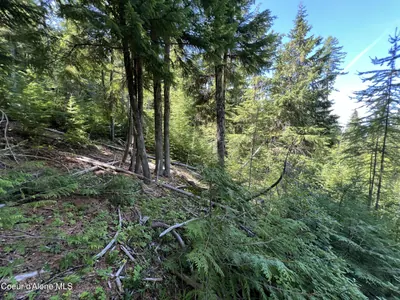 Property 26-4197 - Photo 7