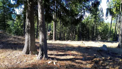 Property 26-3336 - Photo 23