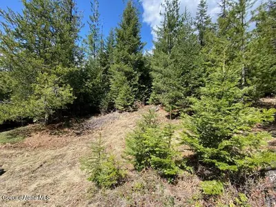 Property 25-4559 - Photo 21