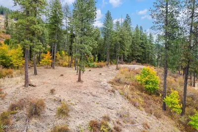 Property 26-1856 - Photo 5