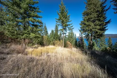 Property 25-10449 - Photo 5