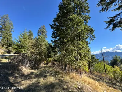 Property 26-4541 - Photo 5