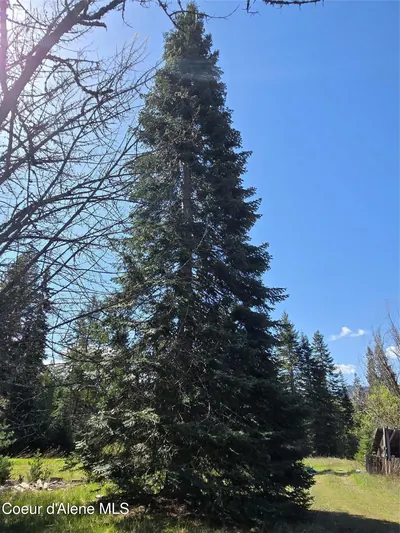 Property 26-4055 - Photo 10
