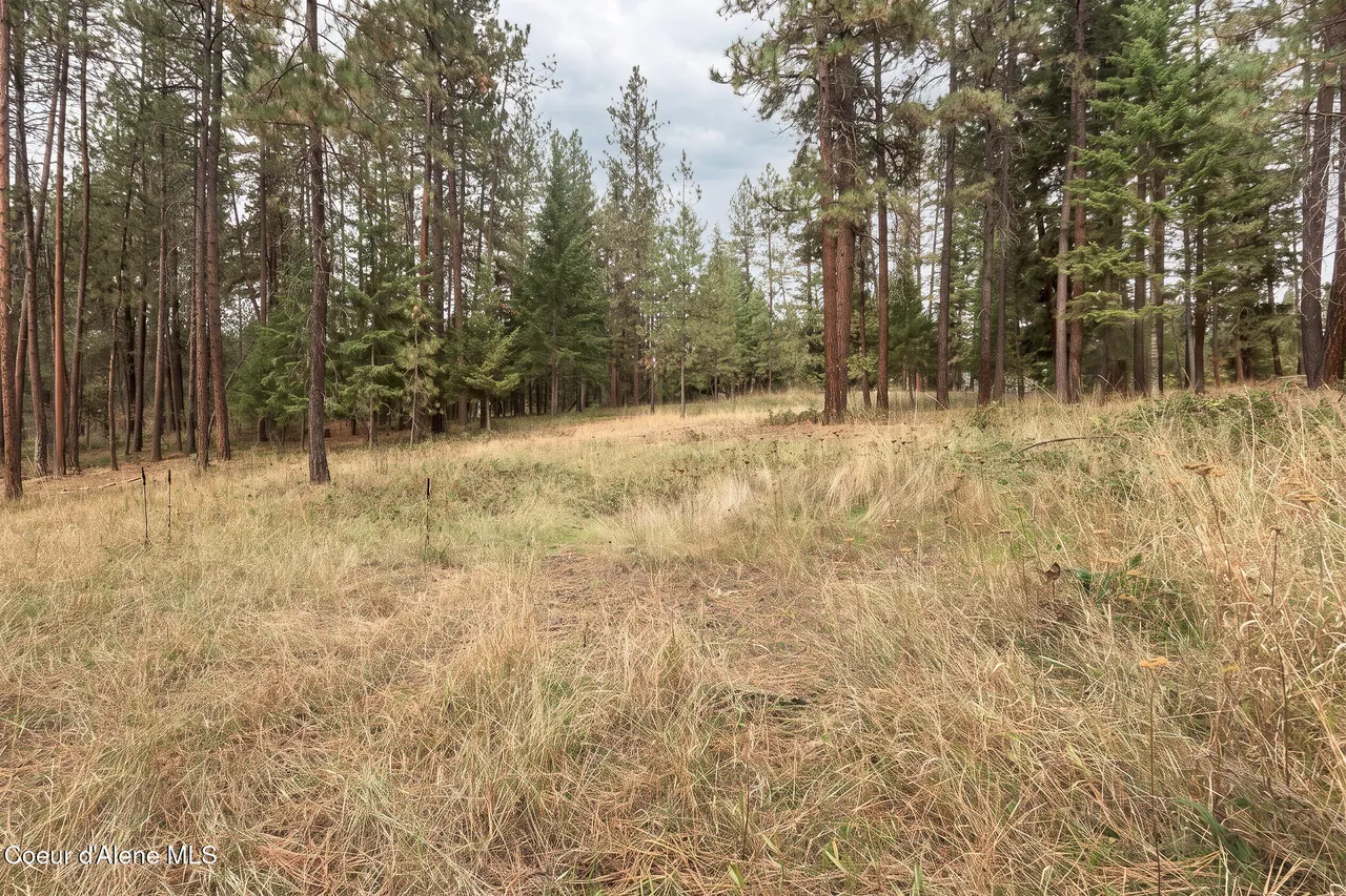 Property 26-9935 - Photo 1