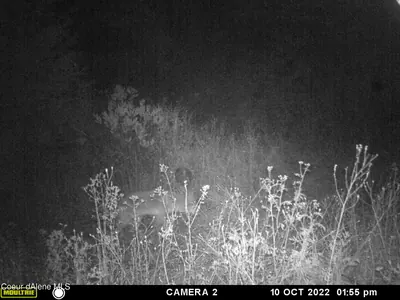 Property 26-3633 - Photo 27