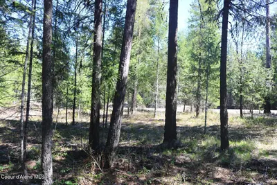 Property 25-8700 - Photo 22