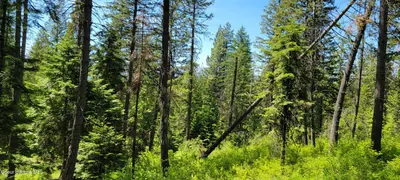 Property 25-5982 - Photo 11