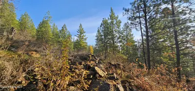 Property 26-7600 - Photo 10