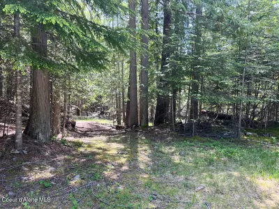 Property 26-4593 - Photo 11