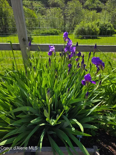 Property 26-5008 - Photo 27