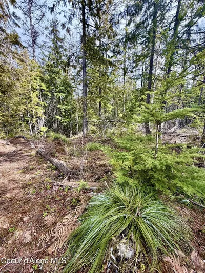 Property 26-2440 - Photo 12
