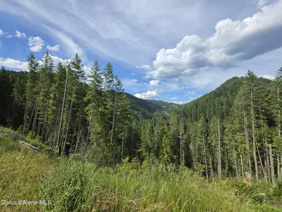 Property 26-2771 - Photo 62