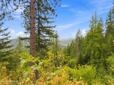 Property 26-8724 - Photo 6