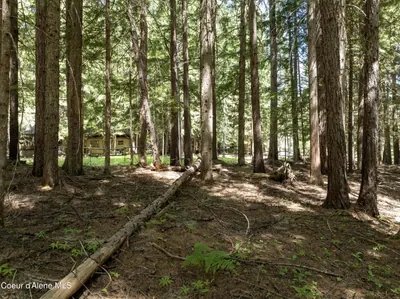 Property 26-6594 - Photo 12