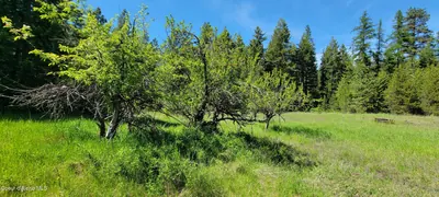 Property 25-5982 - Photo 21
