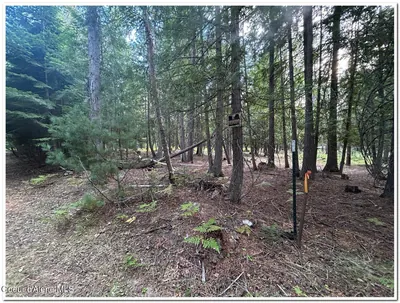 Property 26-9049 - Photo 64