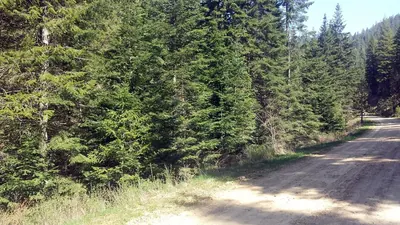 Property 26-6356 - Photo 20