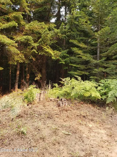 Property 26-1504 - Photo 5