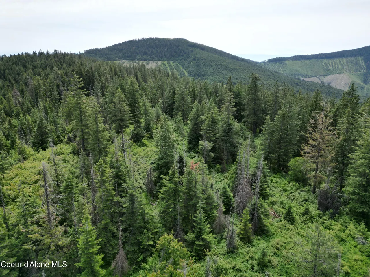 Property 26-10426 - Photo 1