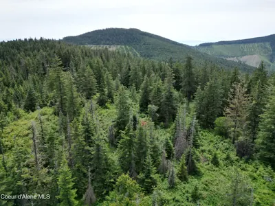 Property 26-10426 - Photo 1