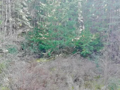 Property 26-3149 - Photo 12