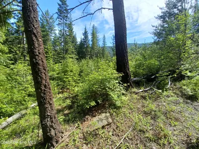 Property 26-466 - Photo 11