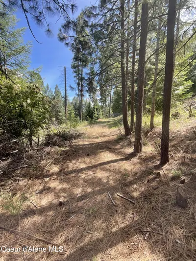 Property 26-7206 - Photo 2
