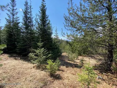 Property 25-4559 - Photo 28