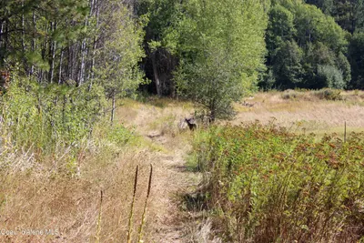 Property 26-9268 - Photo 26